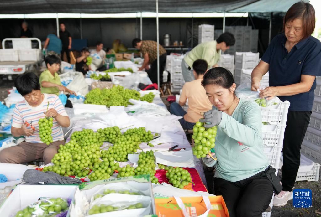 澳门新葡东下载